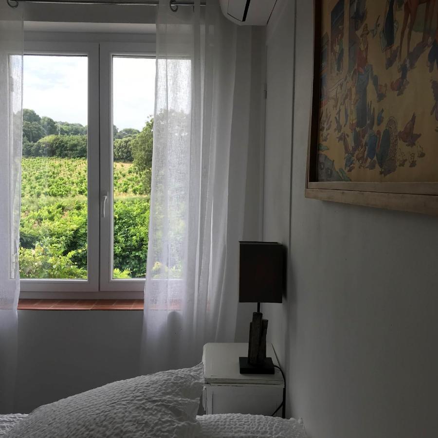 Chambres D'Hotes Et Gites Le Mas Mellou Orange  Eksteriør bilde